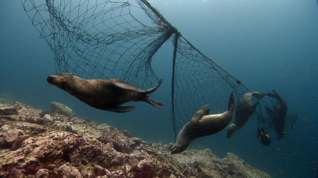‘Ahogados en plástico’:el  documental de la BBC para el Día Mundial de los Océanos