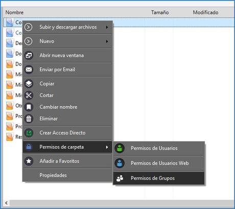 Opción de permisos a Grupos sobre una carpeta.