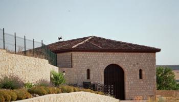 Kirios de Adrada Noche 2014