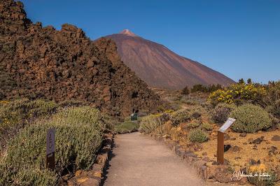 Ruta Sendero La Fortaleza con salida desde El Portillo Ruta Sendero La Fortaleza con salida desde El Portillo