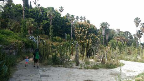 Jardines de Mossèn Costa i Llobera | Montaña de Montjuïc