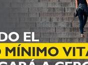 Ingreso mínimo vital quien podrá solicitar