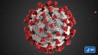 ¿Cómo evitar que el coronavirus covid 19 invada una célula huésped?