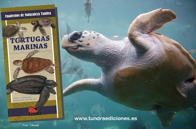 NOVEDAD EDITORIAL: Tortugas marinas