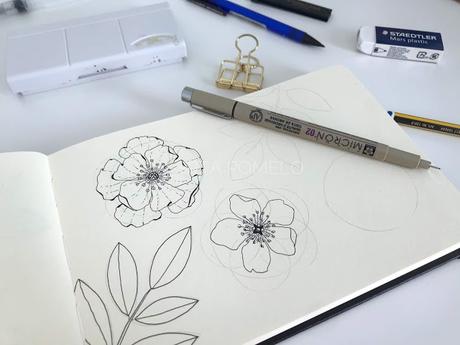 Cómo hacer tu propio cuaderno botánico o de campo.