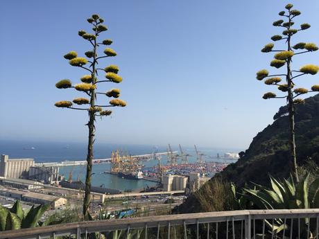 Mirador del alcalde | Montaña de Montjuïc