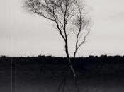 Soledad carlos bassas