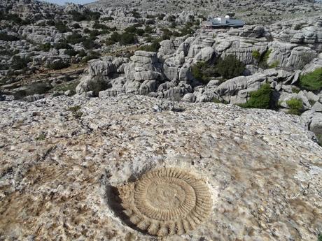 El Torcal de Antequera, visita con niños a un paisaje extraterrestre.