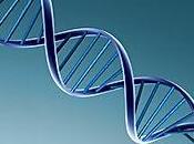 Científicos investigan forma rara Autismo