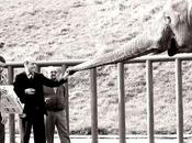 Parque Cabárceno, grandes obras Juan Hormaechea, cumple años