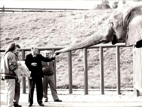 El Parque de Cabárceno, una de las grandes obras de Juan Hormaechea, cumple 30 años