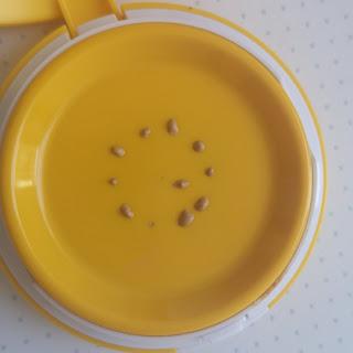 El rescate de Junio: BASE DE VERANO favorita 02 maquillaje