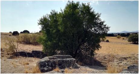Necrópolis en Ripas-Menasalbas, Toledo Necrópolis en Ripas-Menasalbas, Toledo