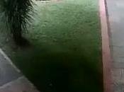 “Trapito” asesinó cuchilladas fierrazos mecánico Morón