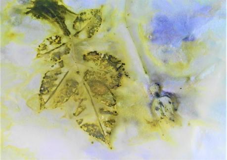 Cuadernos botánicos. Huellas de naturaleza.