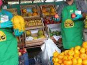 Coronavirus: ABRE FERIA PERMANENTE CHACRA OLLA"…