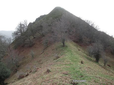 Orlé-Fresnedal