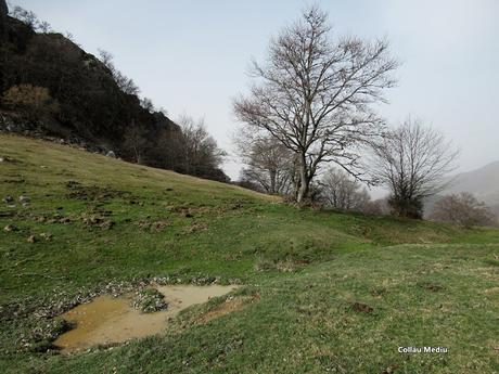 Orlé-Fresnedal