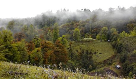 Funcionarios municipales construyen millonario hotel en Sierra de Álvarez