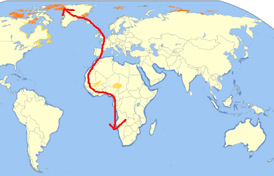 Los últimos migrantes