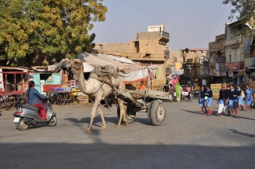 Jaisalmer, Cuando la hospitalidad raya lo absurdo