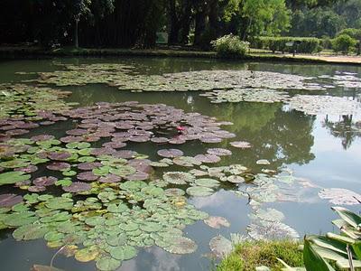 Río de Janeiro: Contrapuntos, Analogías, la Cultura y su Simpatía Multicolor