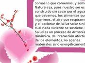 Armonía Dinámica