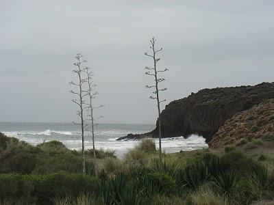 El sendero y el trail de Cabo de Gata