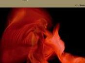 Canon, revista arte flamenco, publica número dos.