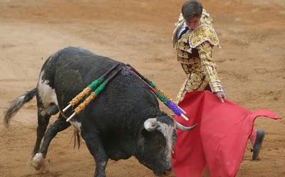 Clasificiación de los antitaurinos