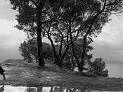 toros: (I): memoria llanto, Francisco González Ledesma