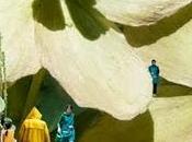 Planta Intermediae Avant Garden Matadero