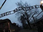 Aprueban extraditar Polonia sueco acusado robar lema Auschwitz