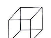 cubo Necker.