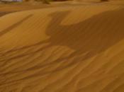 Galopando desierto camello)