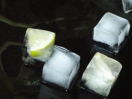 Cubitos de hielo con frutas