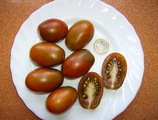 TOMATES CIRUELA NEGRA Y BLUE