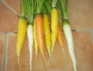 MIS HORTALIZAS SIGUEN DANDO SUS FRUTOS