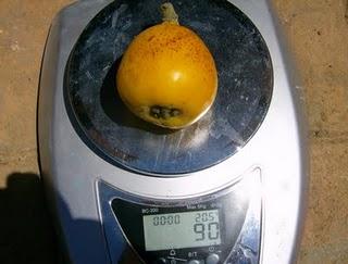 FRESONES, NISPEROS. A partir de ahora, las fruterías deben de esperar.