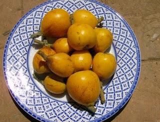 FRESONES, NISPEROS. A partir de ahora, las fruterías deben de esperar.