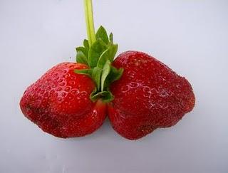 FRESONES, NISPEROS. A partir de ahora, las fruterías deben de esperar.