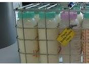 Gemma Valeta: leche materna debe primer alimento bebé"