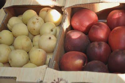 Tarta Con  Albaricoques De Huesca