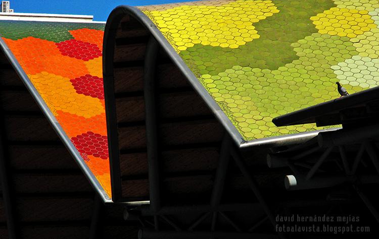 Fotografía de una paloma sobre el tejado del Mercado de Santa Catarina en Barcelona