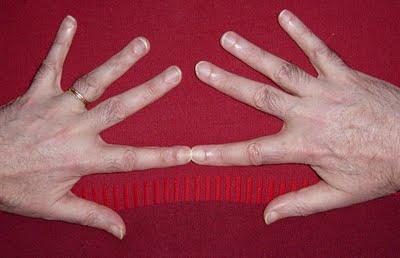 Junio 2011 en imágenes