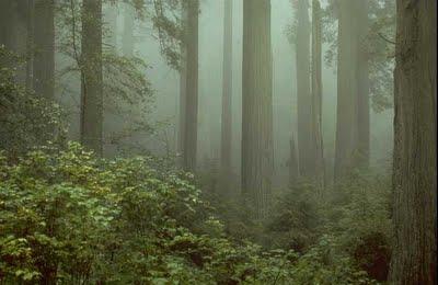 Junio 2011 en imágenes