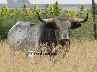 José Escolar y Conde de la Maza en Cèret