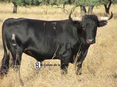 José Escolar y Conde de la Maza en Cèret