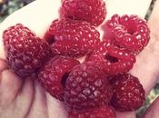 Tarta queso frambuesa cómo morir asada horno