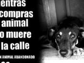 abandones